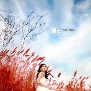 Photoshop调出婚片的黄红色调